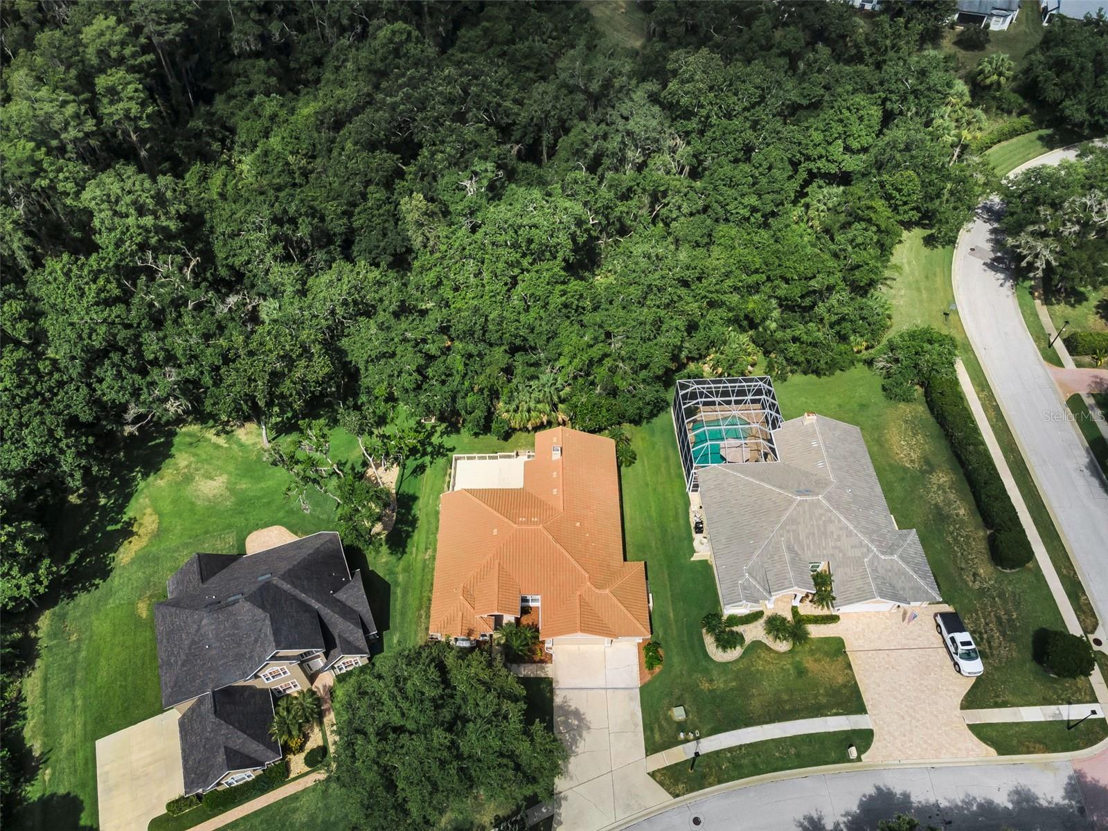 RESERVE AT LAKE TARPON THE - Residential