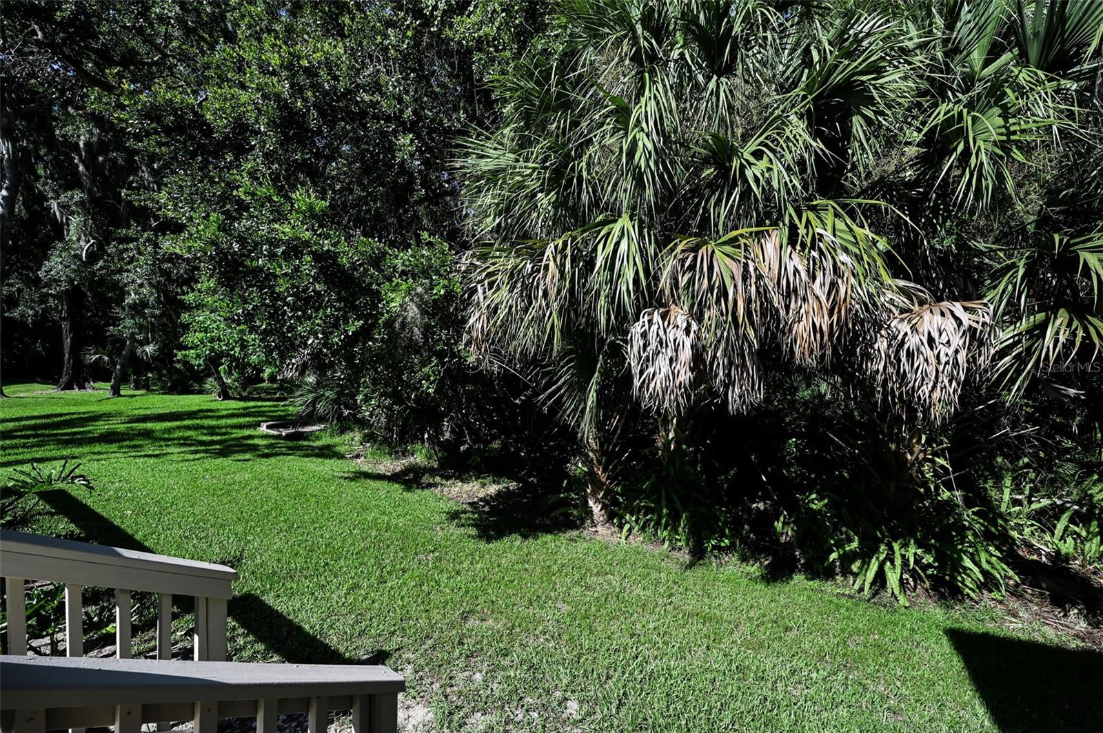 RESERVE AT LAKE TARPON THE - Residential