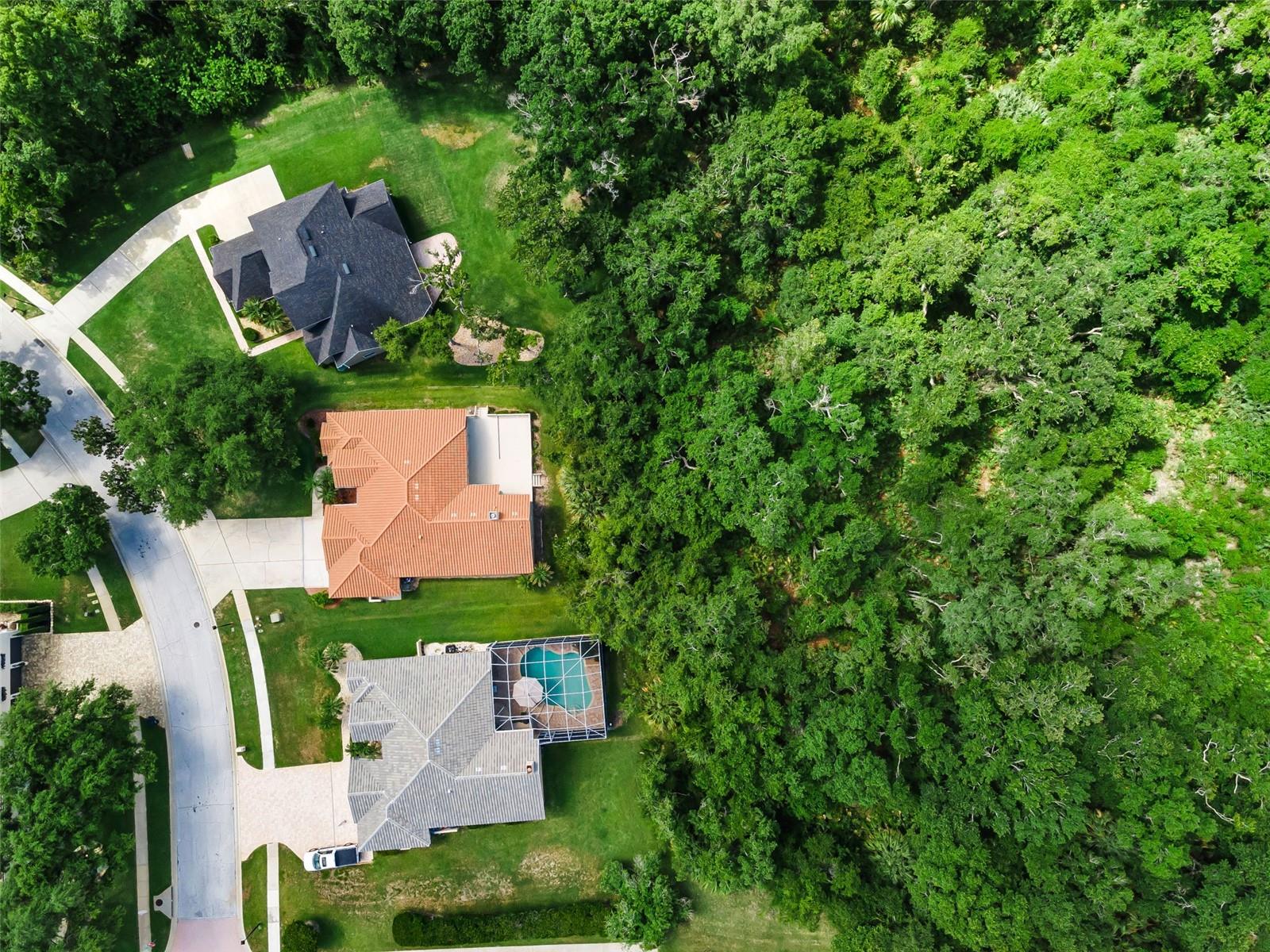 RESERVE AT LAKE TARPON THE - Residential