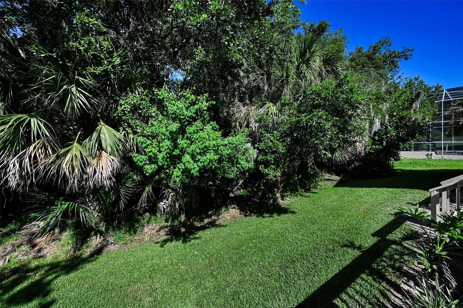 RESERVE AT LAKE TARPON THE - Residential