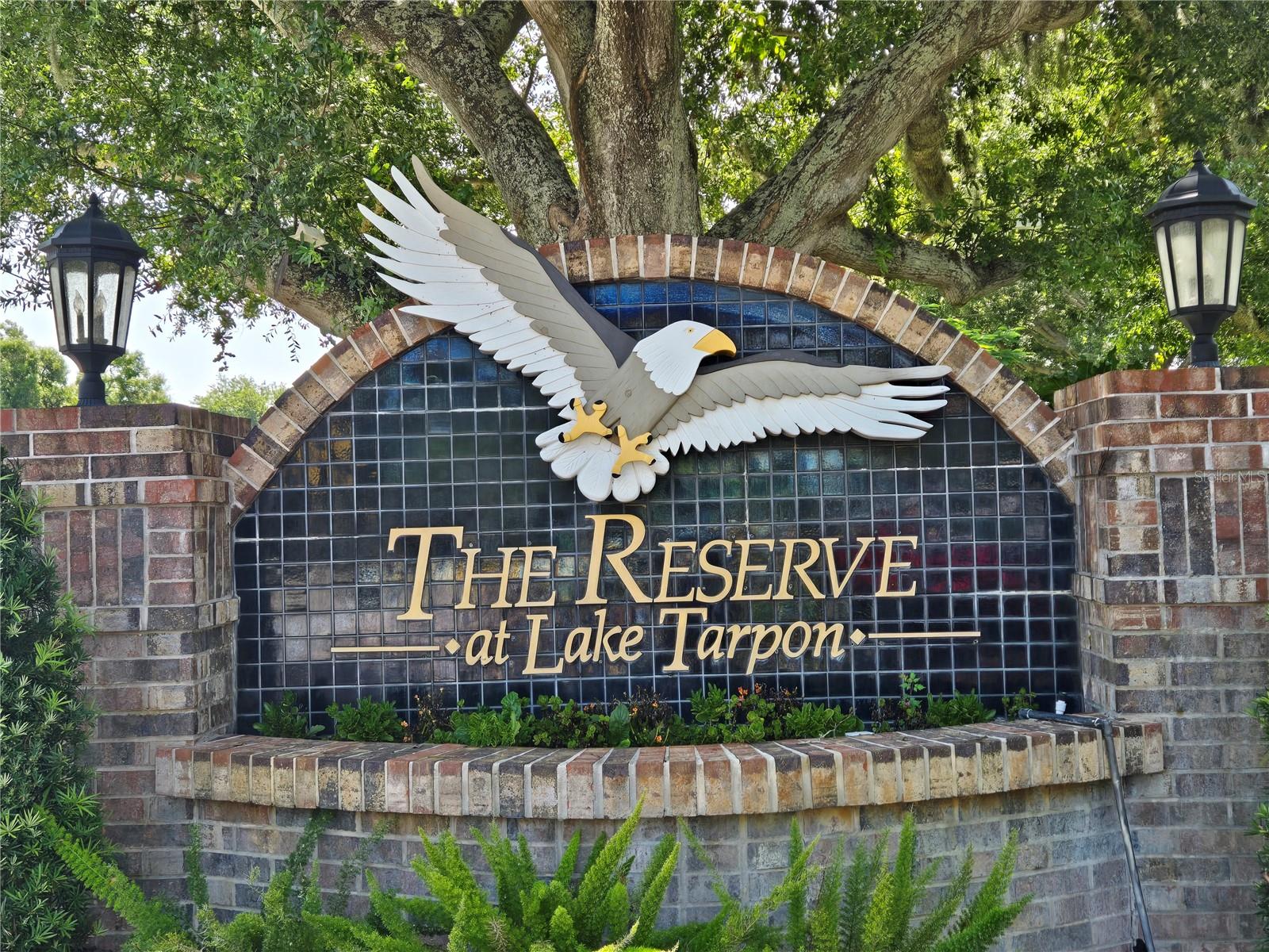 RESERVE AT LAKE TARPON THE - Residential