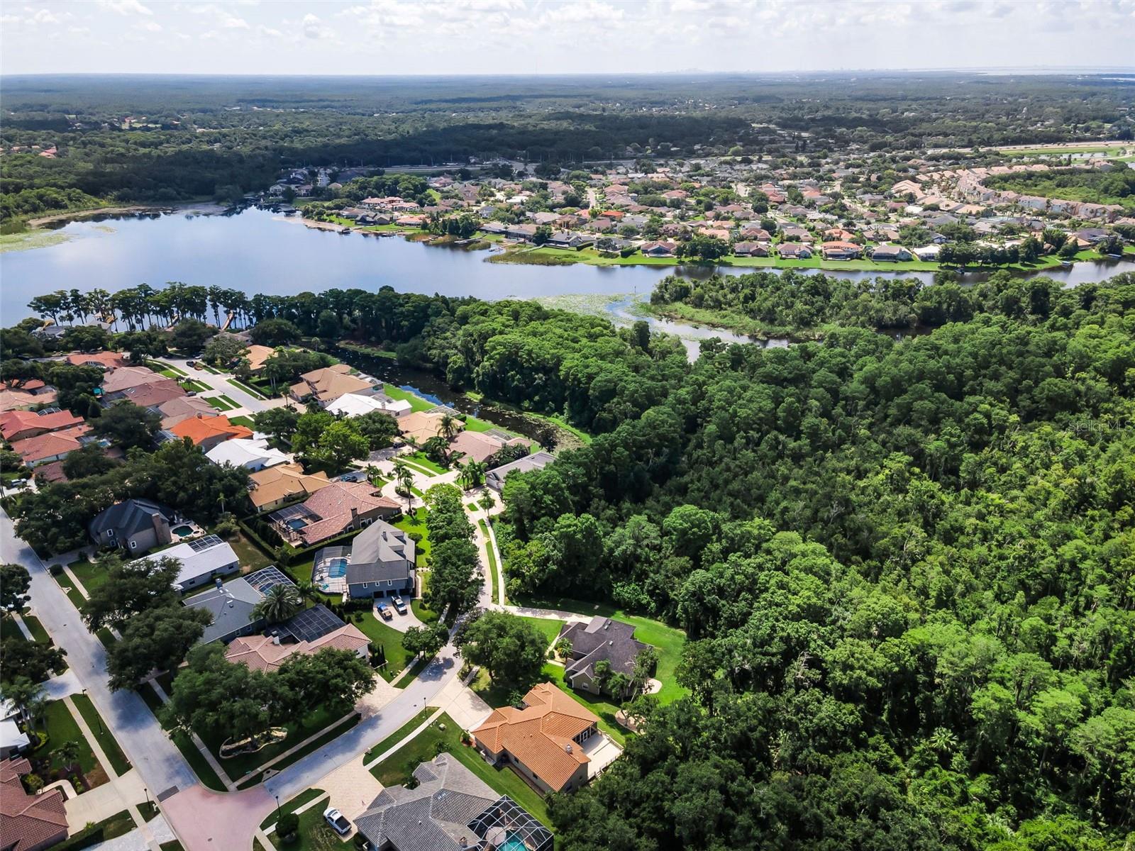 RESERVE AT LAKE TARPON THE - Residential