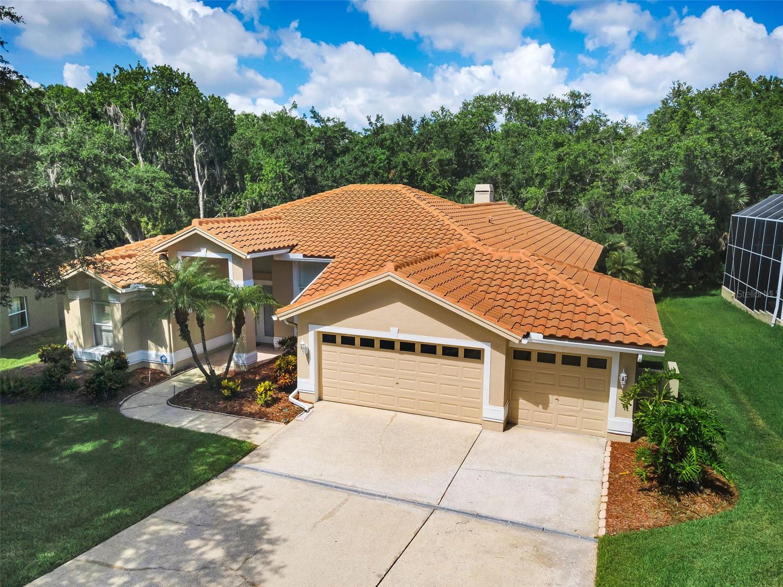 RESERVE AT LAKE TARPON THE - Residential