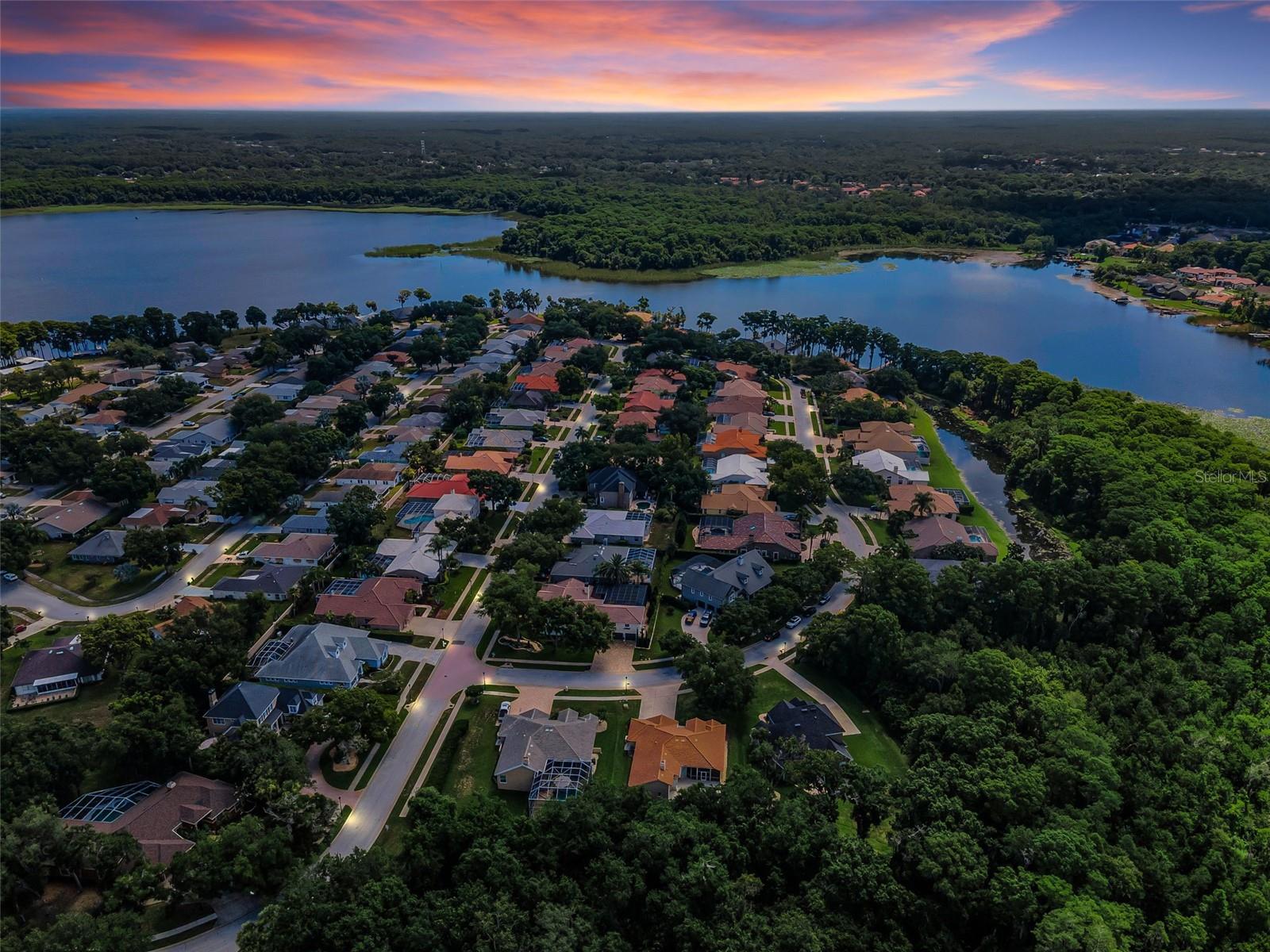 RESERVE AT LAKE TARPON THE - Residential