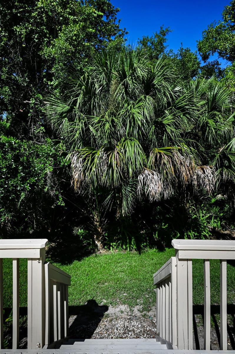 RESERVE AT LAKE TARPON THE - Residential