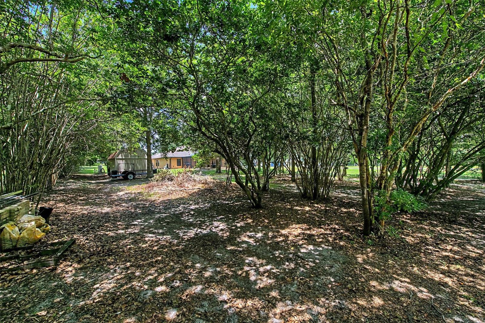AUSTIN WOODS - Residential