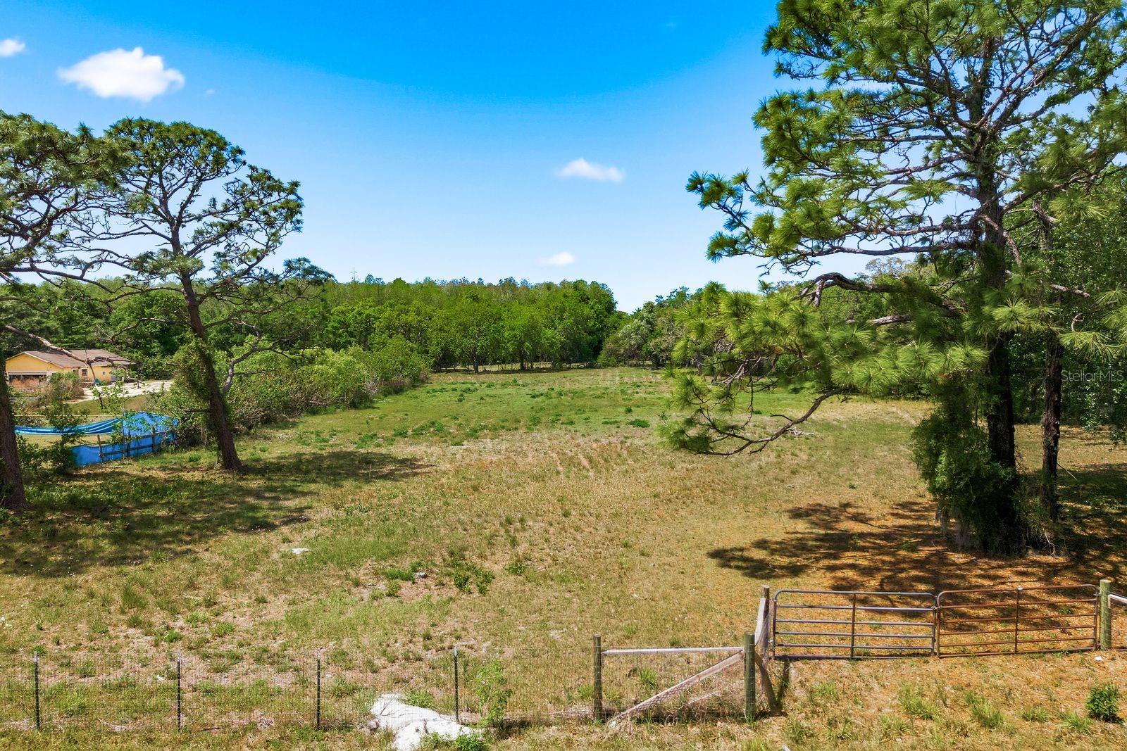NEW PRICE for this Large 2 Acre Homesite with buildable area for your new Home! Cleared property ready for your Vision! Located in an area of similar size Homesites and convenient to major arteries for Shopping, Dining, Banks, Medical, etc. If you have been looking for a place to "call home" take a look at this property! Survey available and Seller is MOTIVATED! Sellers purchased to build but plans have changed. Enjoy everything Pasco county has to offer - from local beaches to area events - this is a thriving community with lots to offer! Don't delay - take a look today and see if this is your new "place to call home".