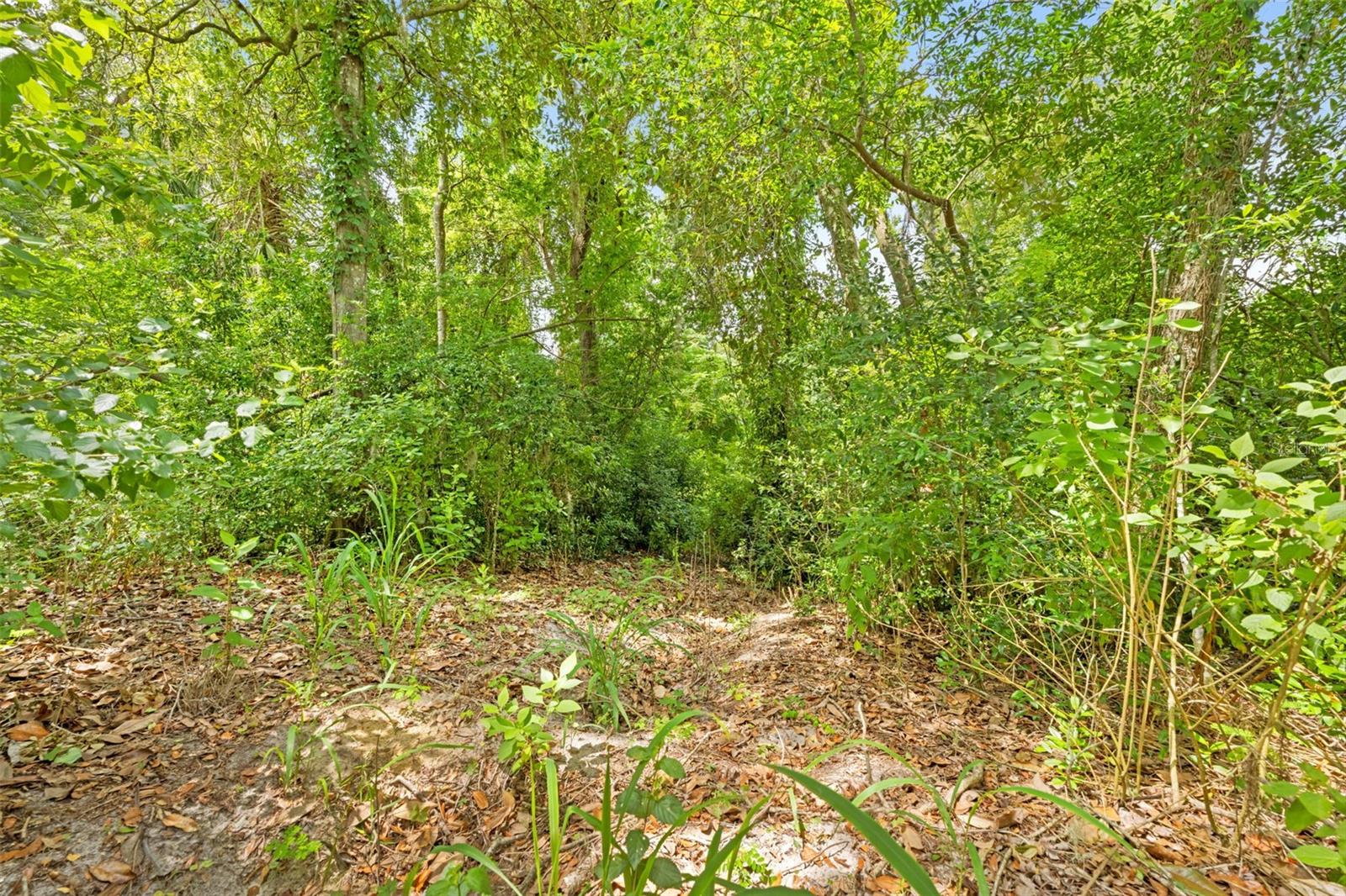 ACREAGE - Residential