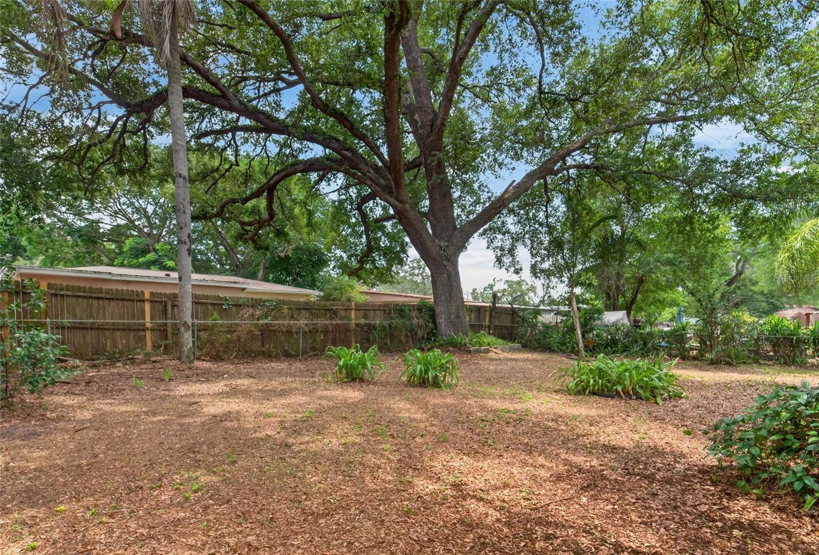 WOODLAND TERRACE - Residential