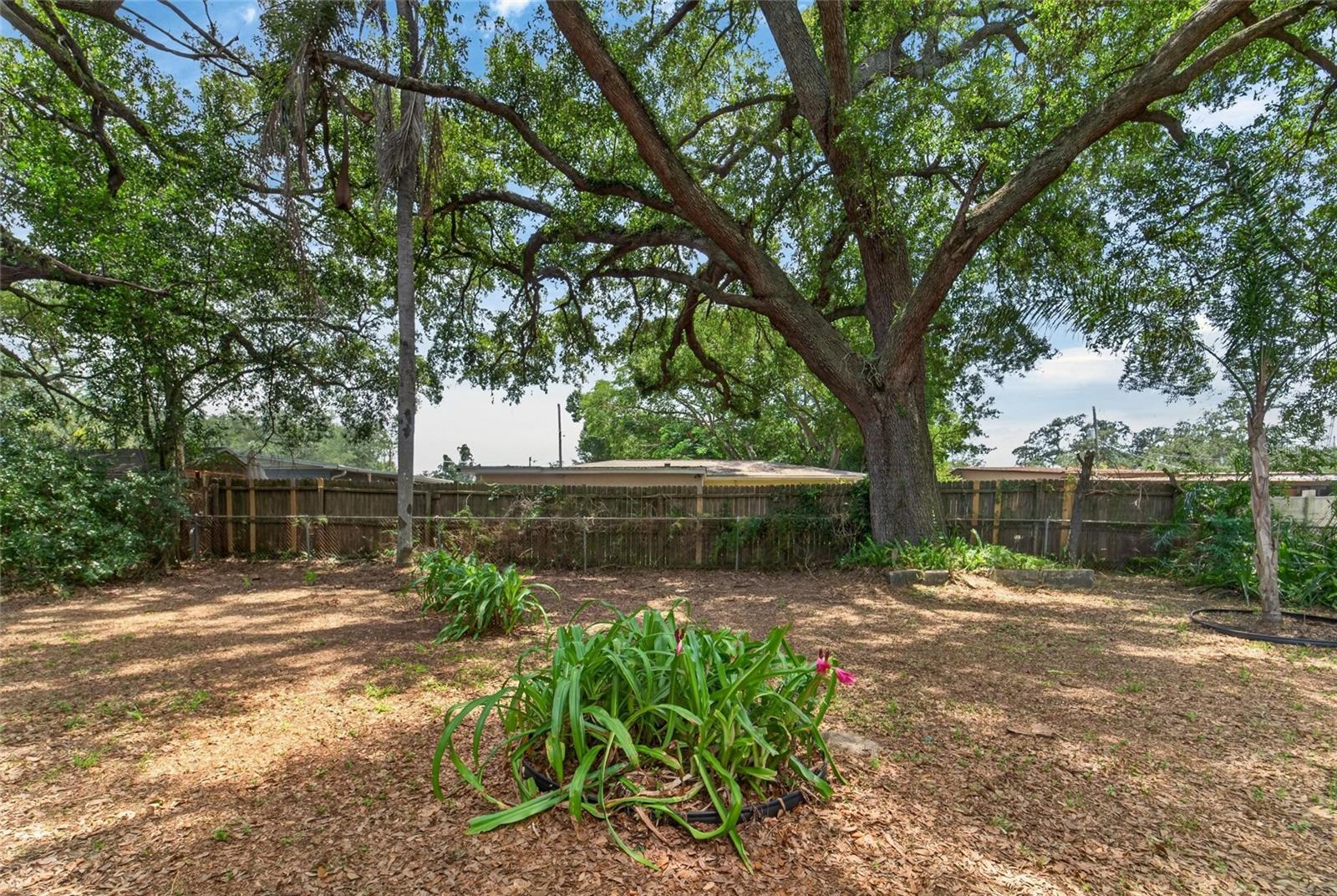 WOODLAND TERRACE - Residential