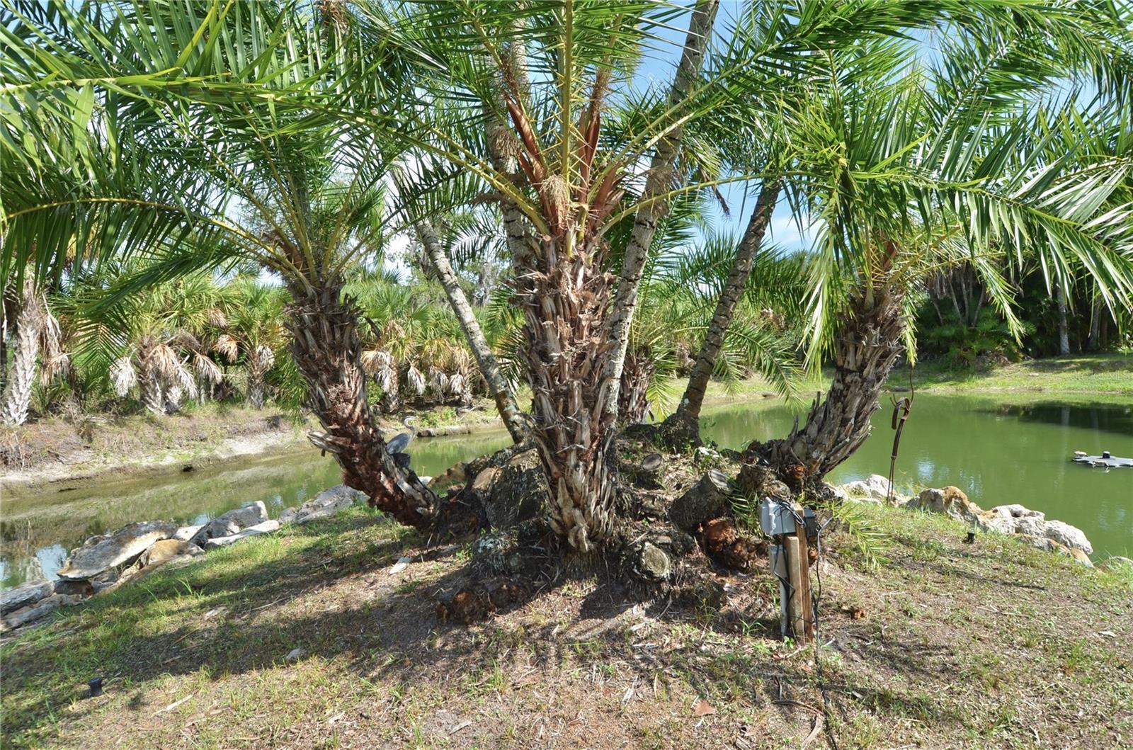 MYAKKA RIVER TRAILS UNREC OF - Residential