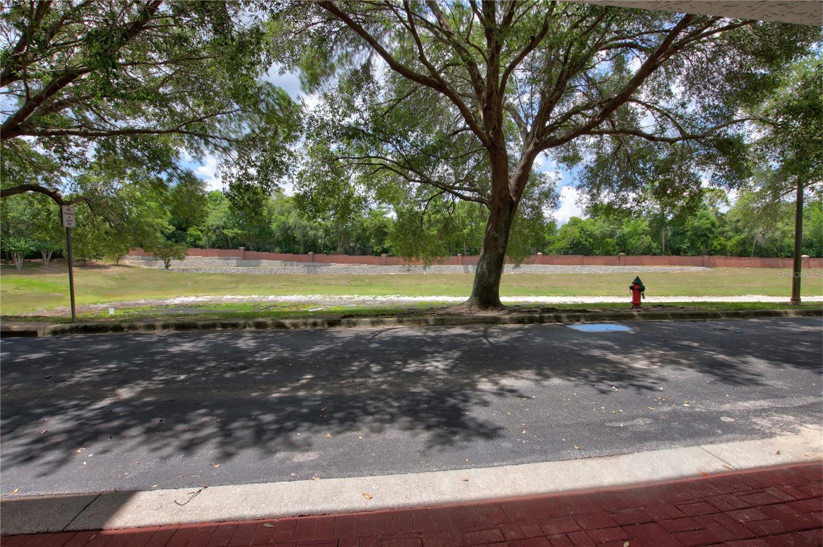 FOUNTAIN PARKE AT LAKE MARY - Residential