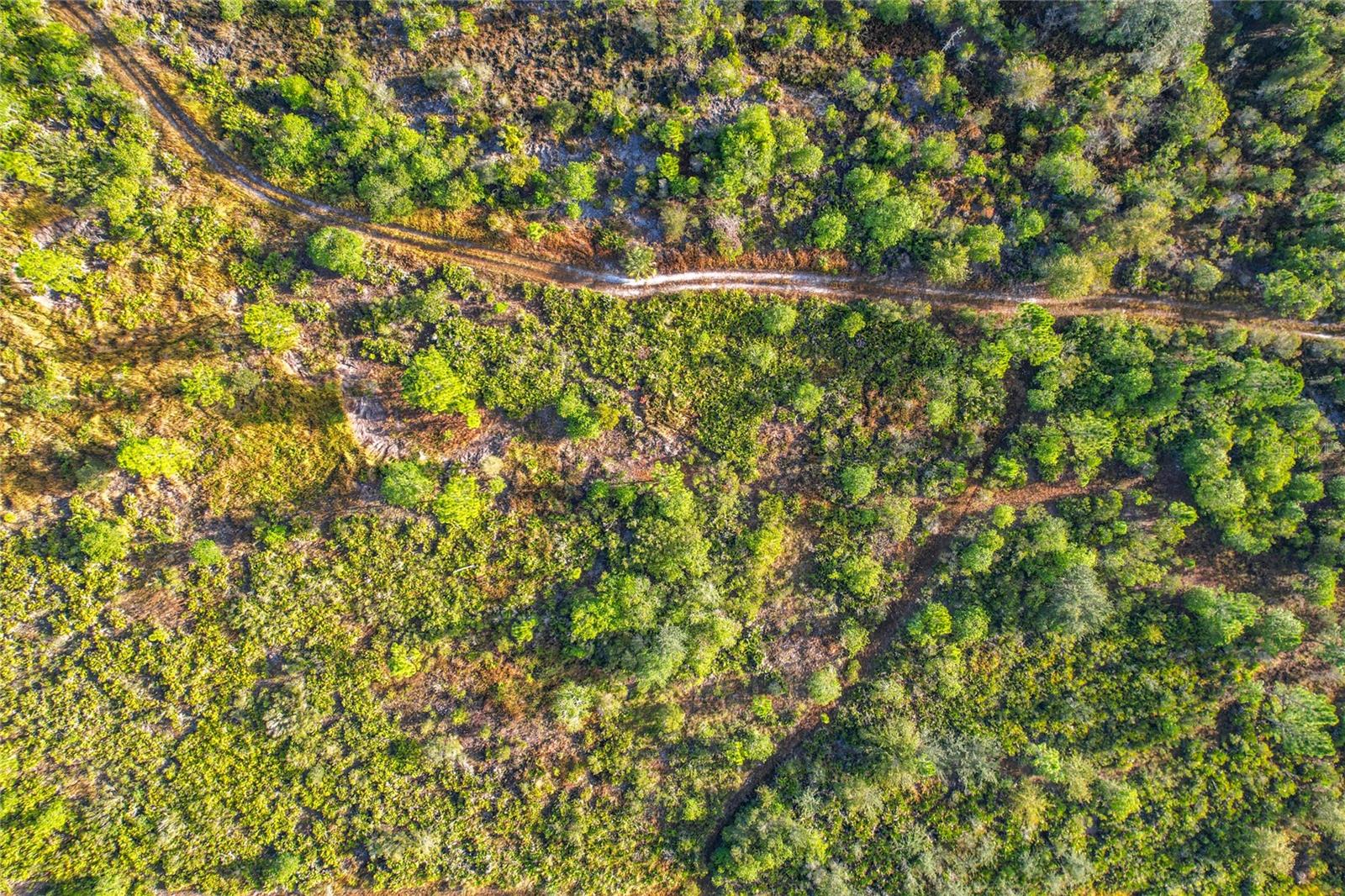 WOODLANDS - Land