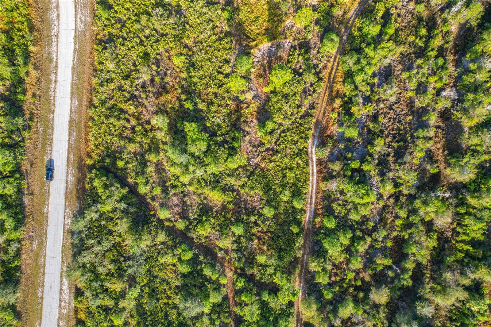 WOODLANDS - Land