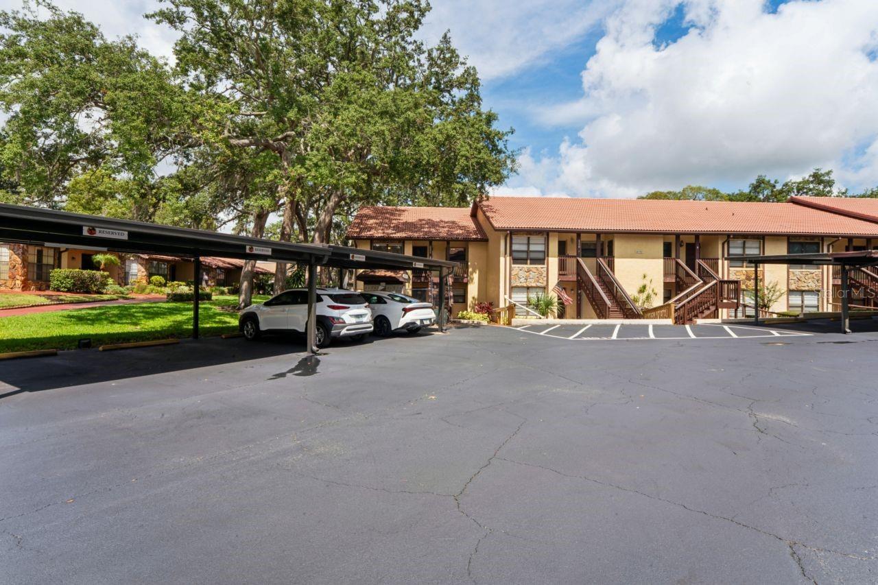 FOREST LAKE PH 01 - Residential