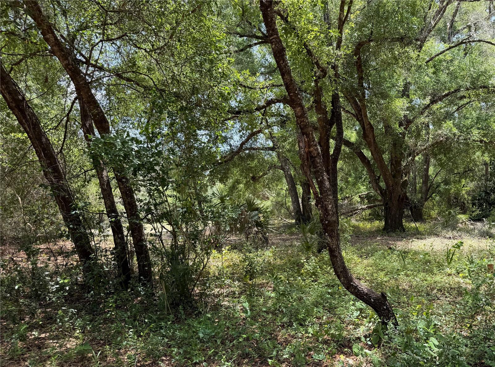 LAKE & FOREST CLUB - Residential