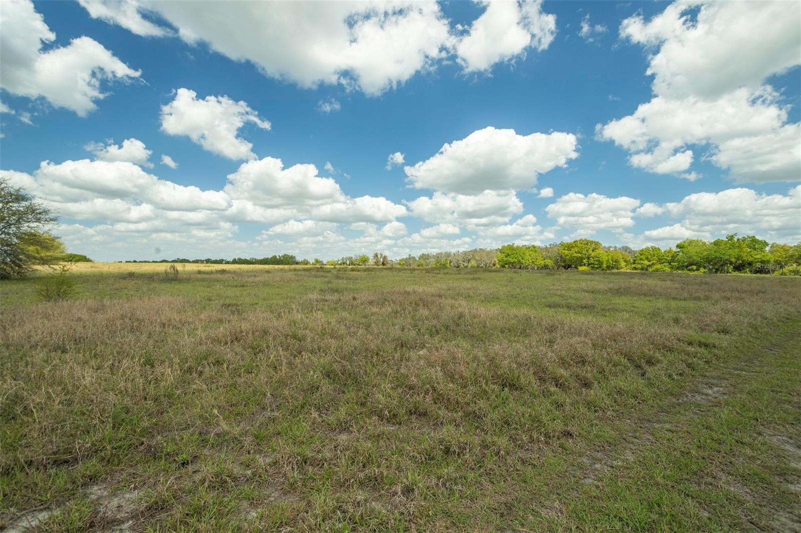 MANATEE RIVER PARK SUB - Land