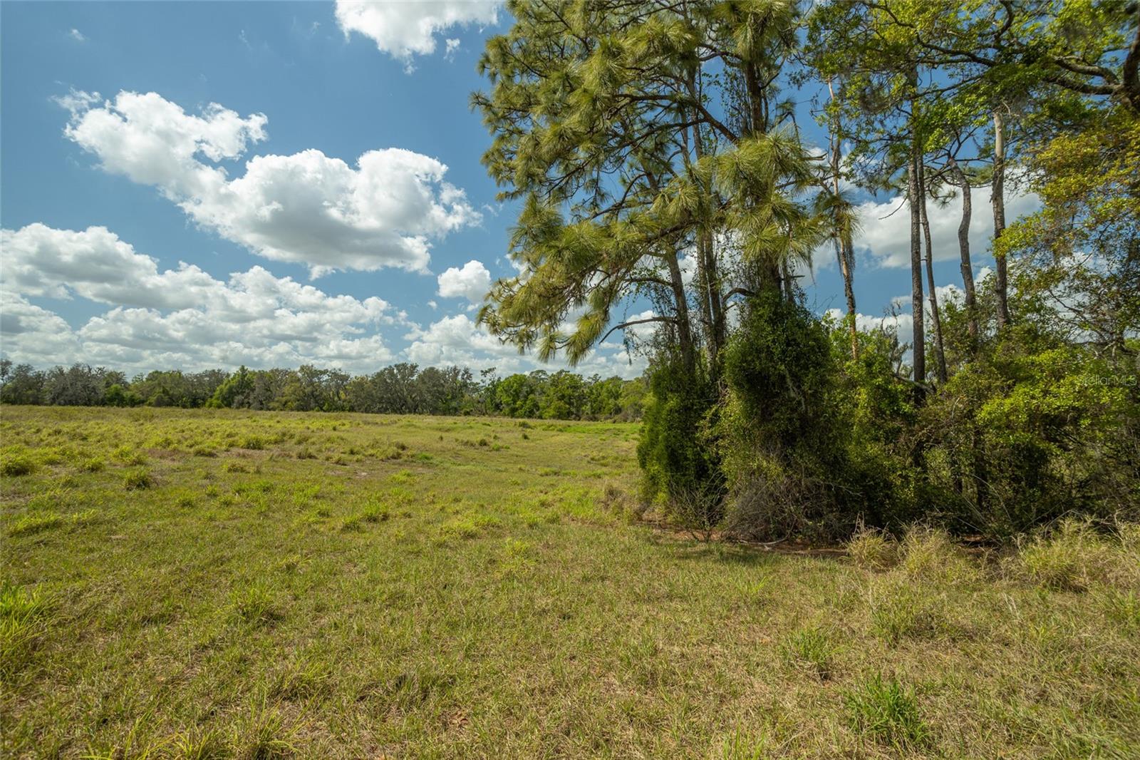 MANATEE RIVER PARK SUB - Land