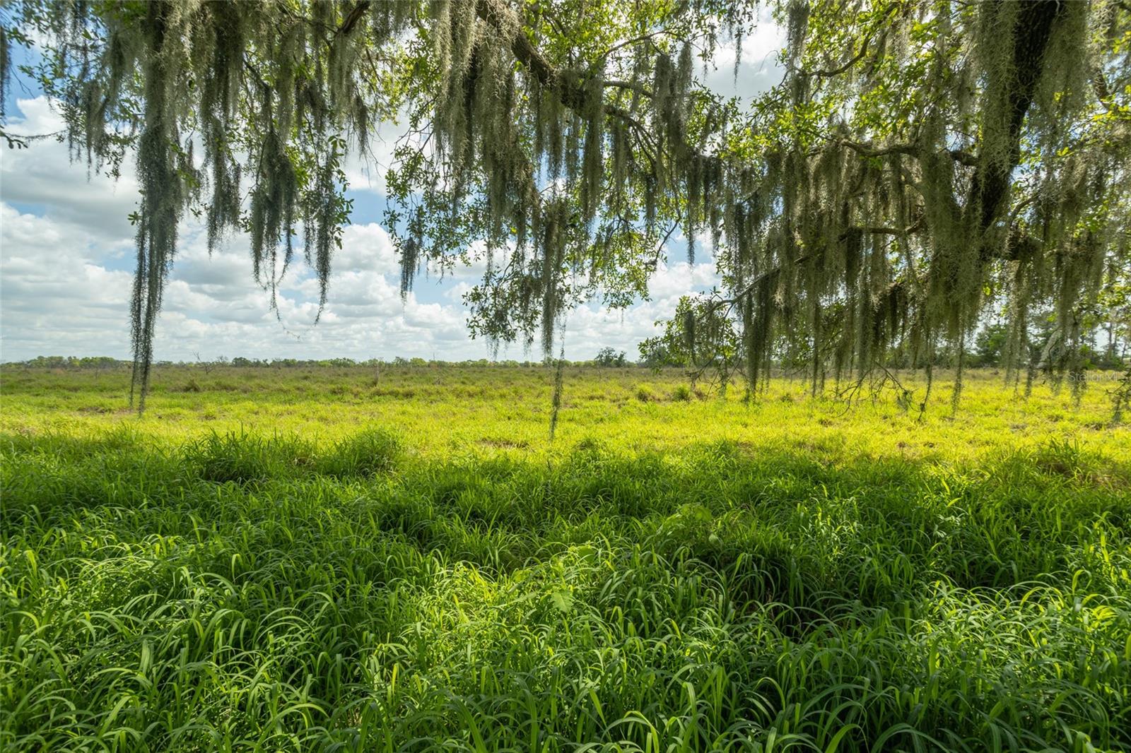 MANATEE RIVER PARK SUB - Land