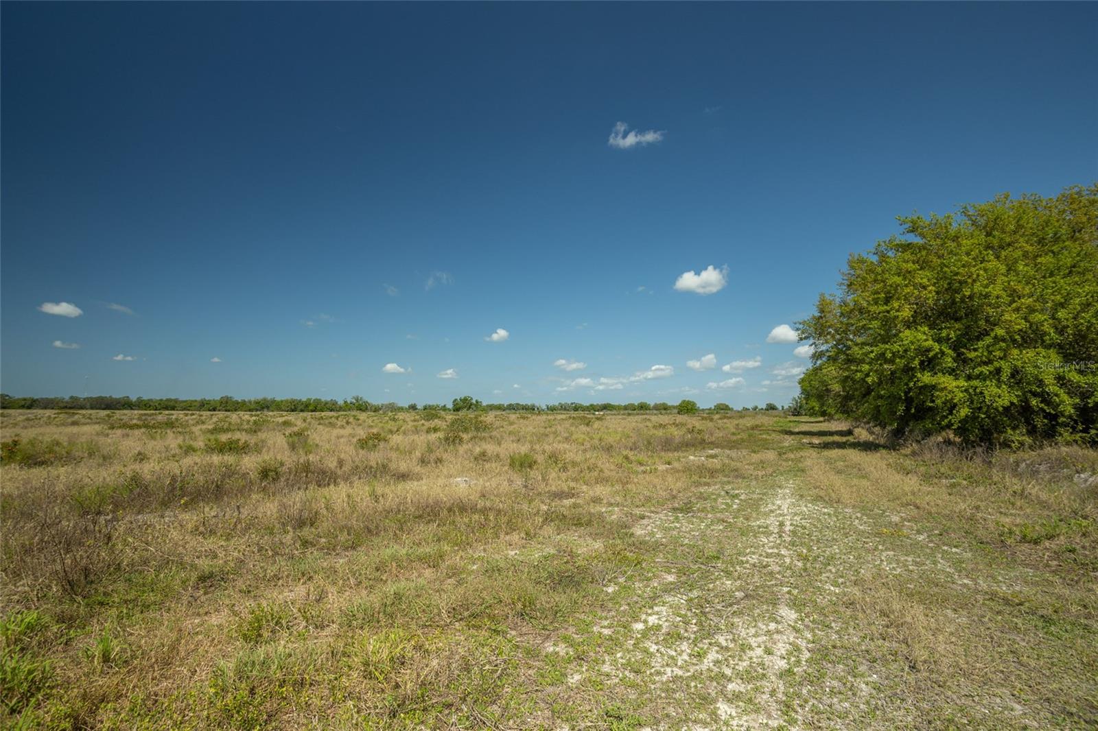 MANATEE RIVER PARK SUB - Land
