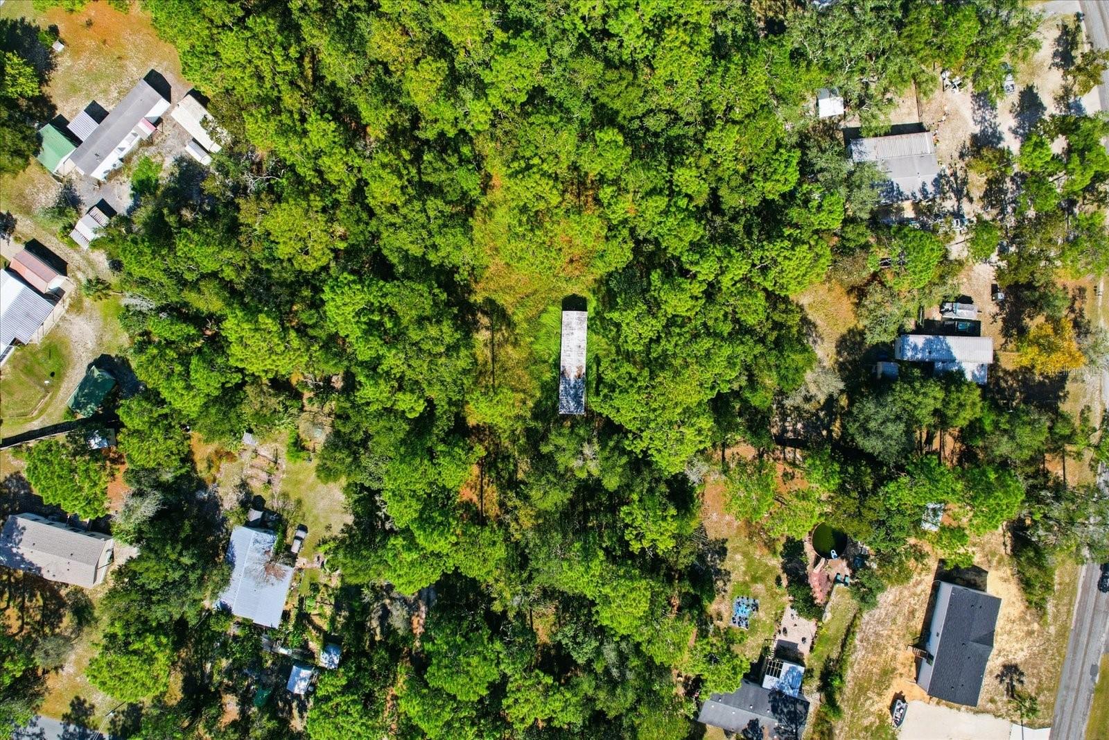 HOMOSASSA UNIT 09 - Land