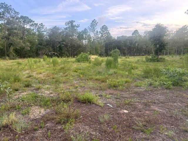RAINBOW LAKES ESTATE - Land