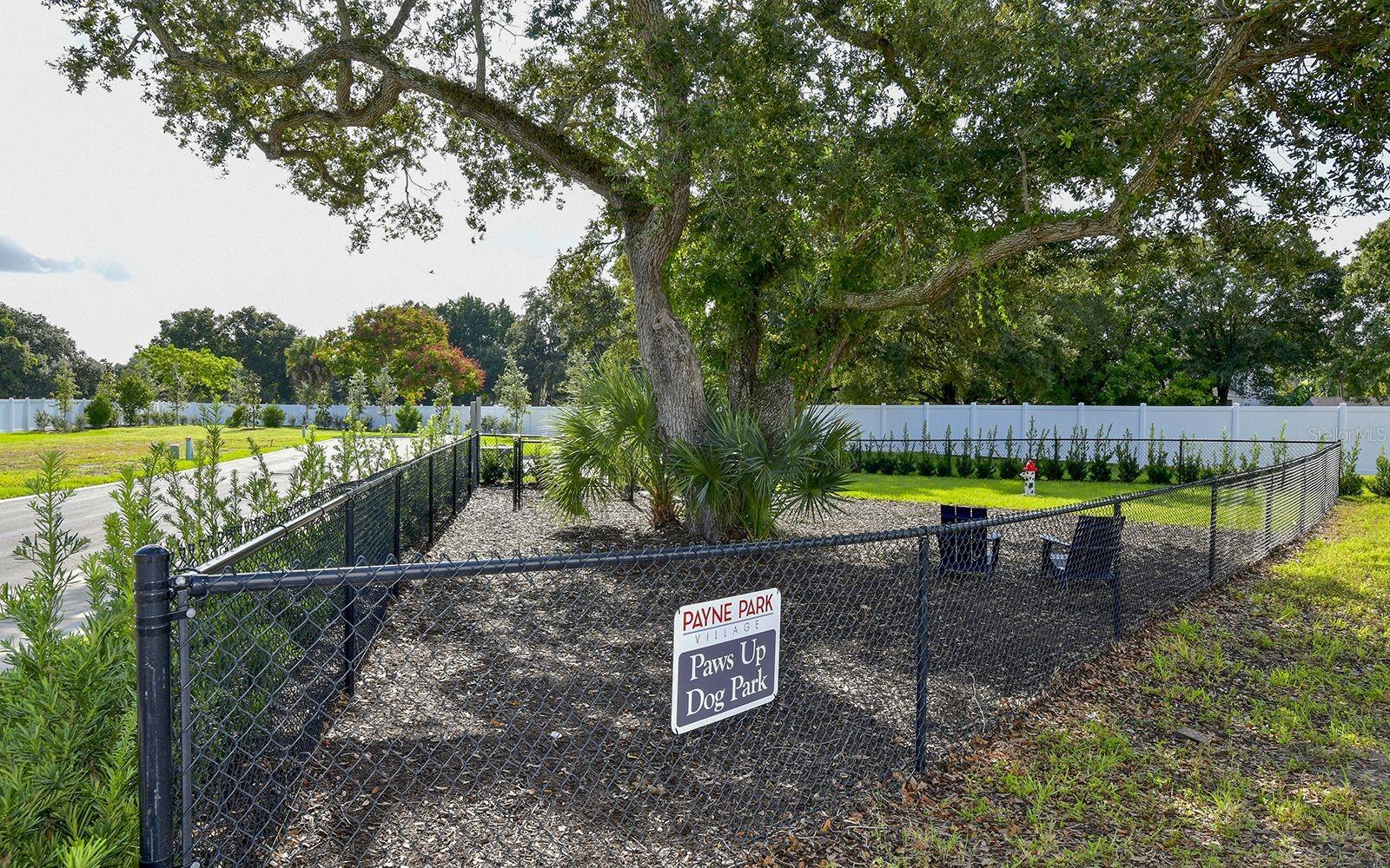 PAYNE PARK PH 1 - Residential