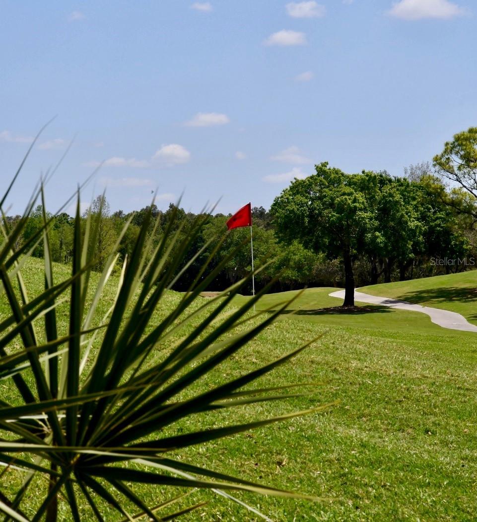 TARA VERANDAS - Residential