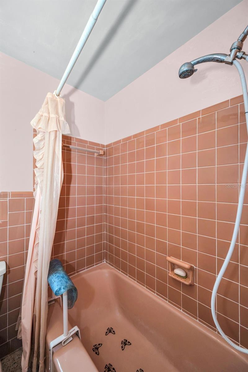 TEMPLE TERRACE RIVERSIDE SUBDI - Residential