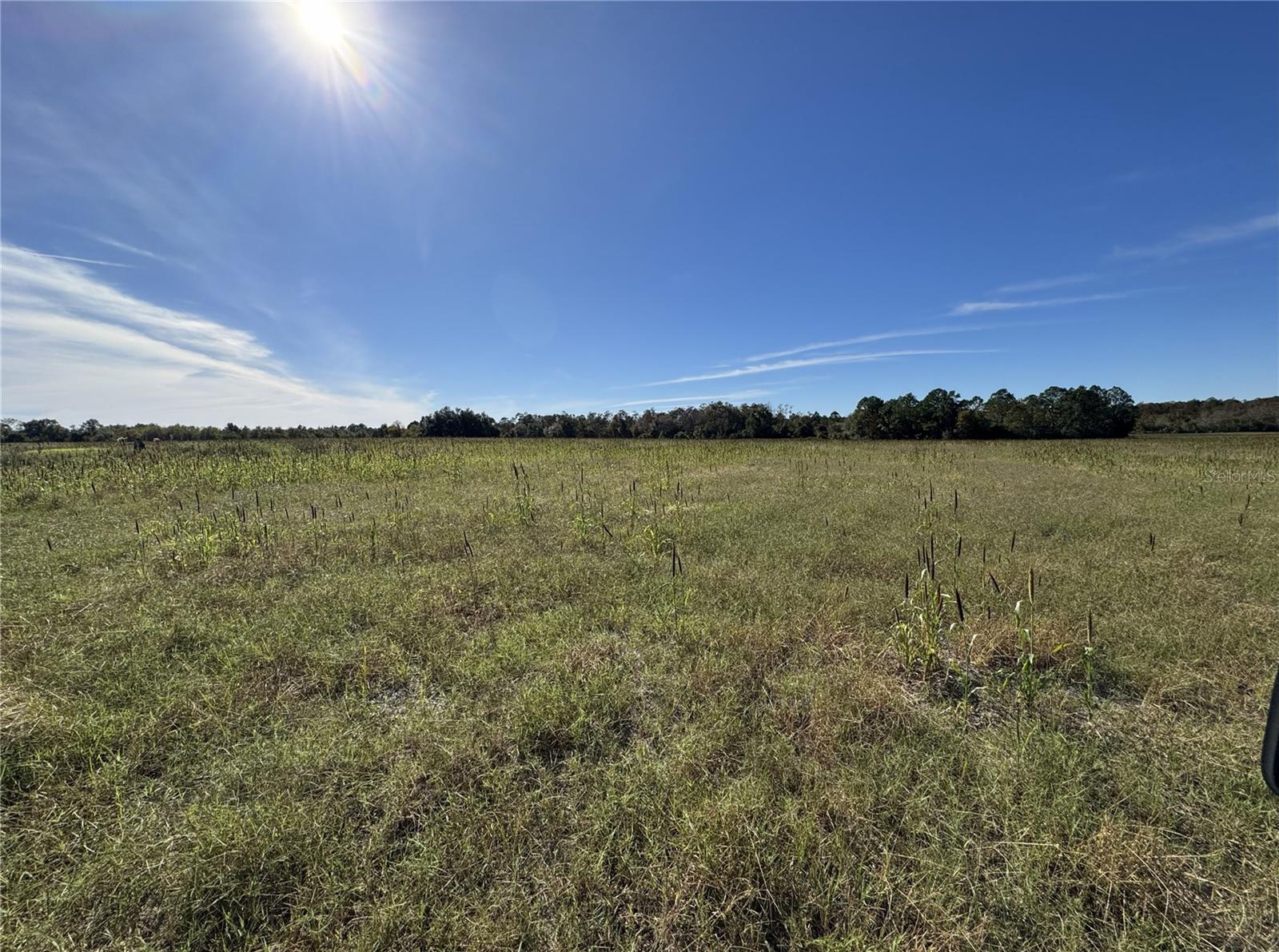 Scenic Rolling Hay Field with 8" Well – Approx. 240 Acres (TBD by Survey)
Nestled just off SE 41st Lane, directly accessible from Highway 301, this expansive parcel offers a rare blend of natural beauty and rural versatility. With approximately 240 acres of gently rolling hay fields, this property is a dream canvas for your ideal homestead, ranch, farm or recreational retreat with plenty of turkeys and deer. Just a short drive to Gainesville or Ocala. Don't miss it!