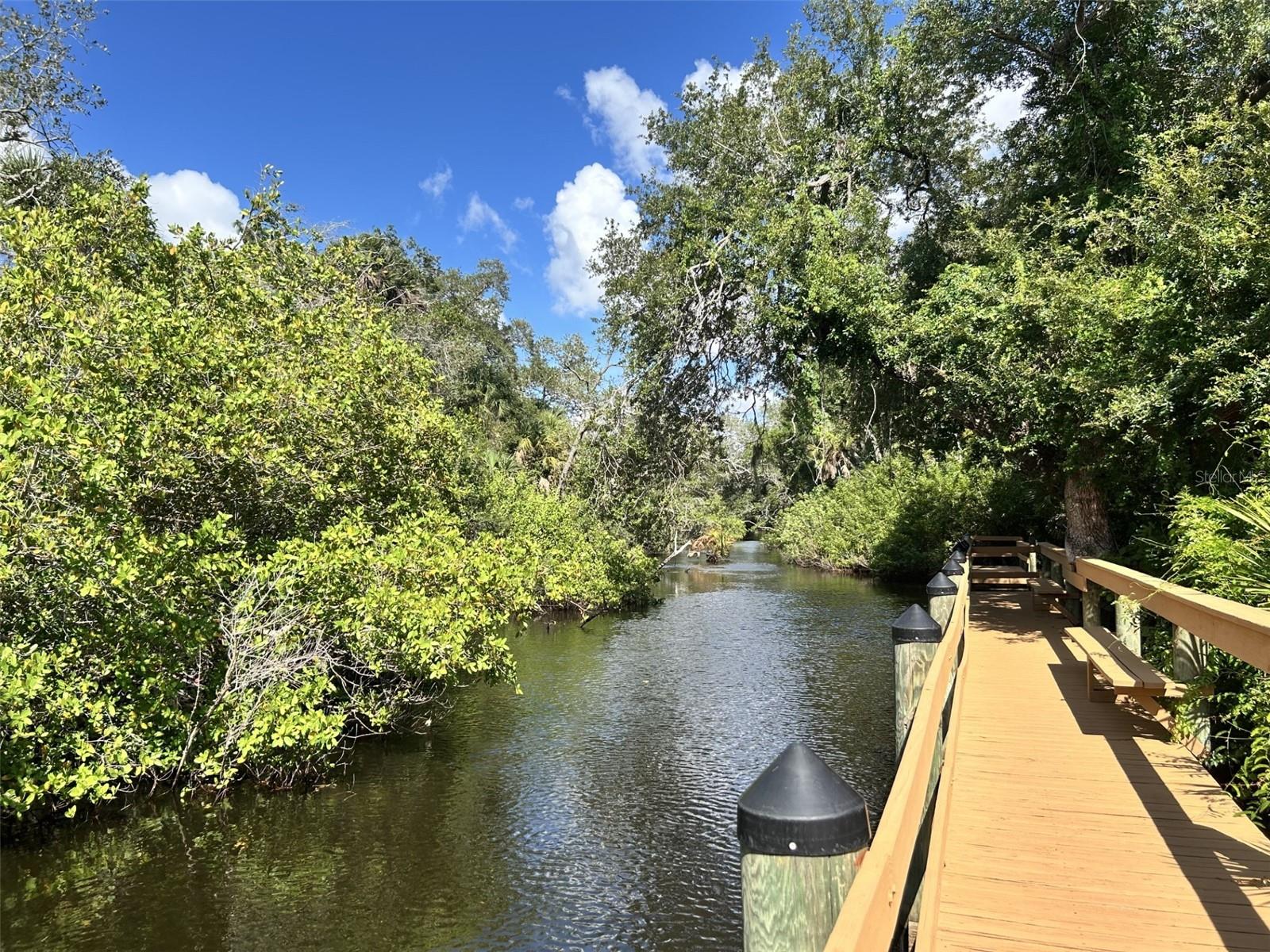 PINEBROOK SOUTH - Residential