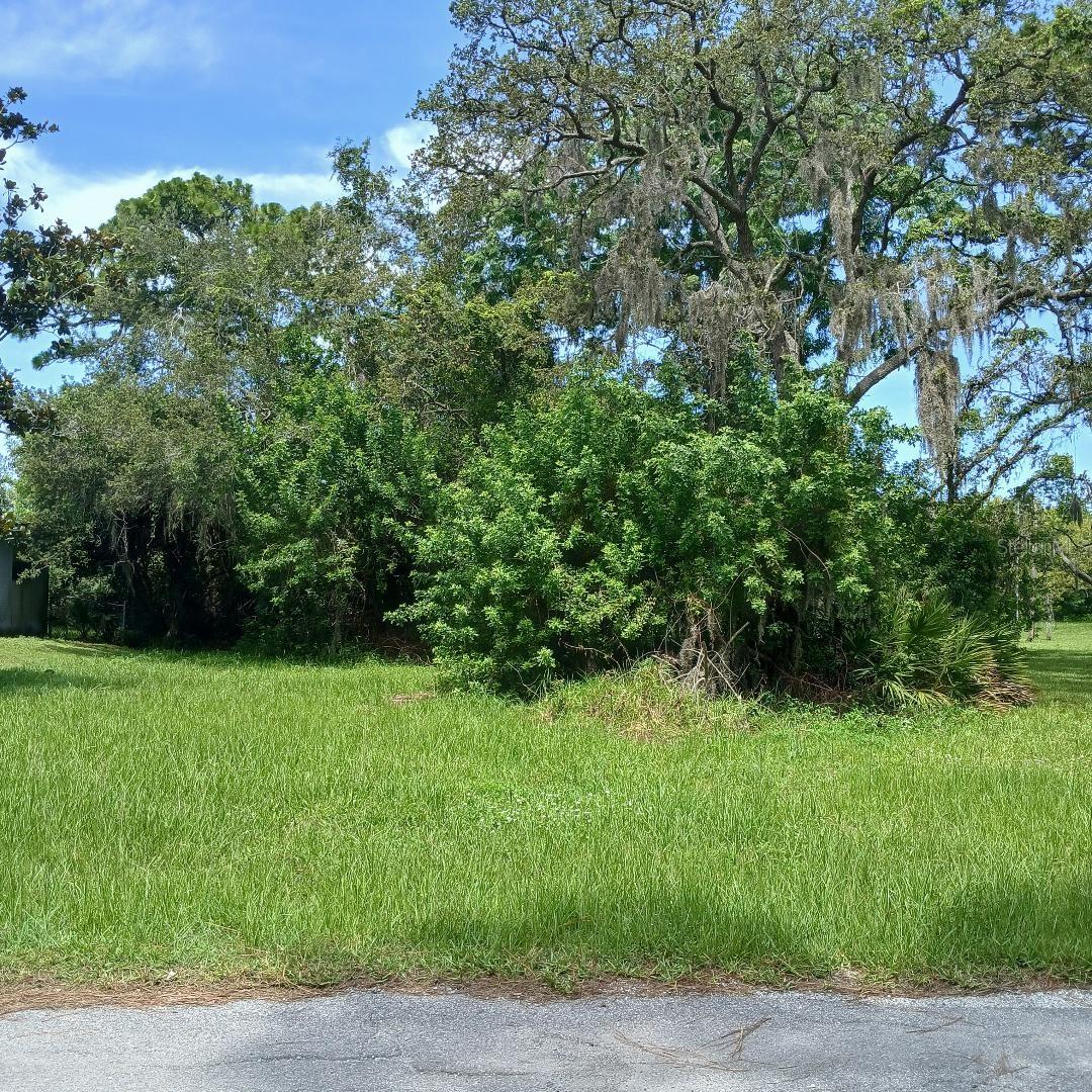 SEA PINES UNIT 2 - Land