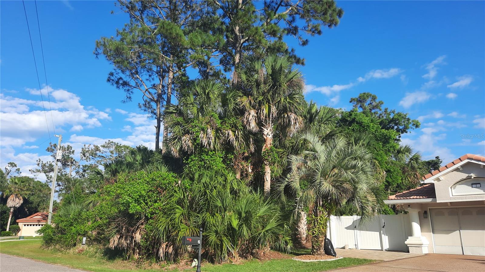 PALM HARBOR - Land