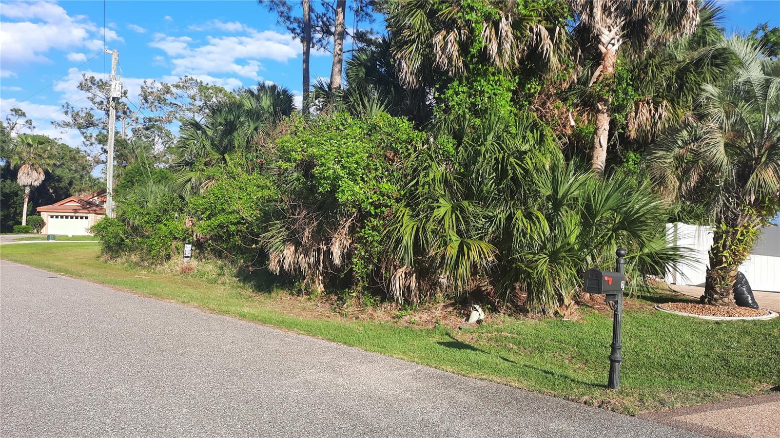 PALM HARBOR - Land