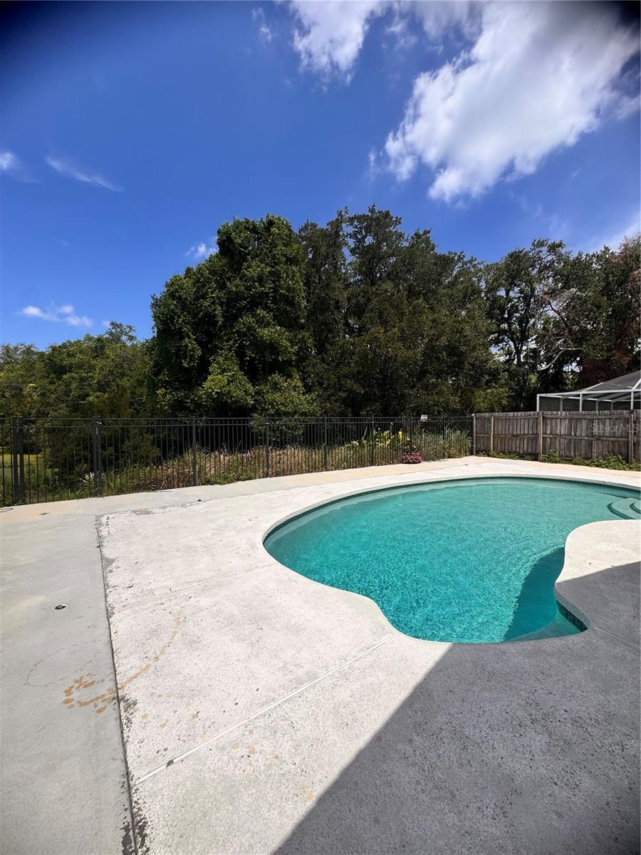 BRANDON TRACES - Residential Lease