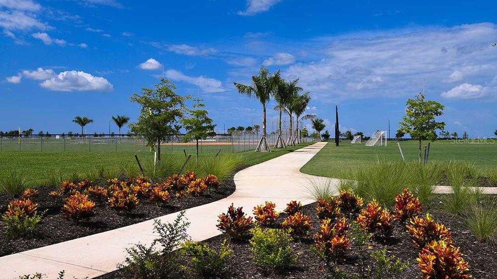 SKYE RANCH NBRHD TWO TWNHMS - Residential