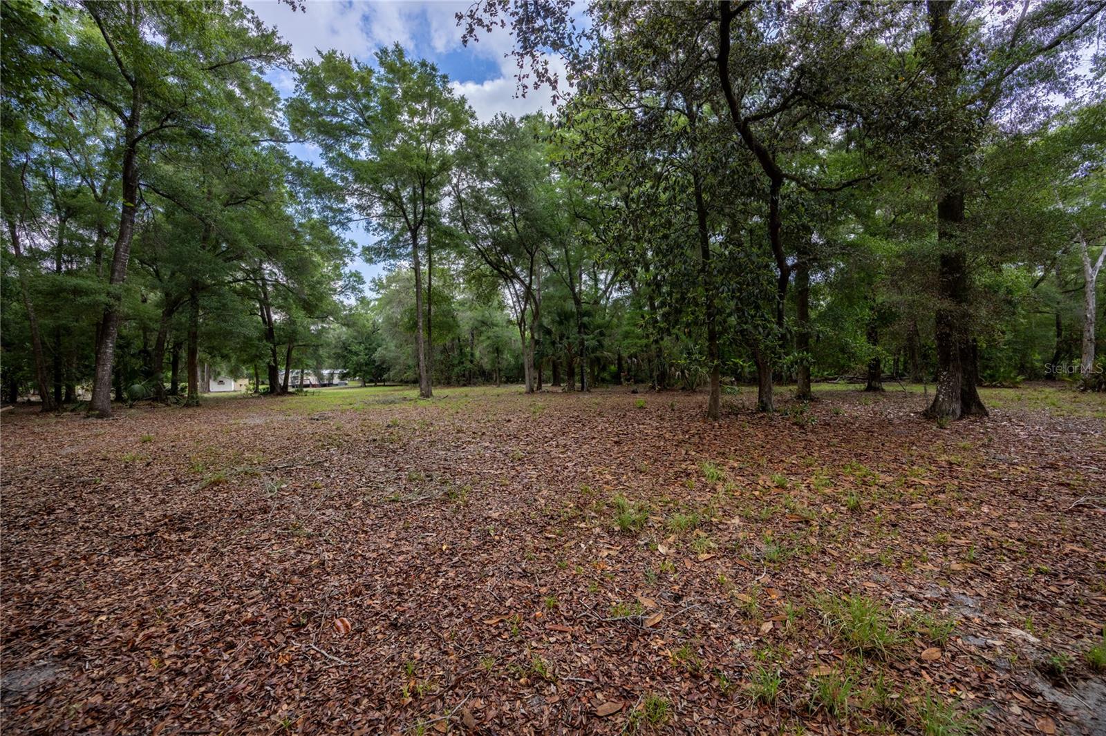 SPANISH TRACE - Residential