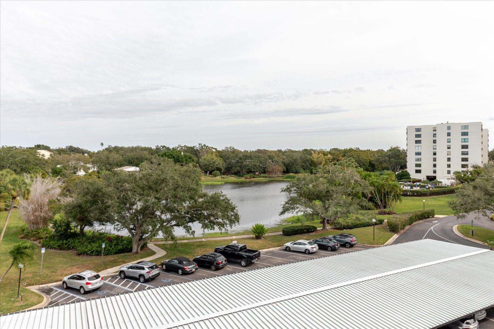 BELLEVIEW BILTMORE VILLAS BAYSHORE I - Residential Lease