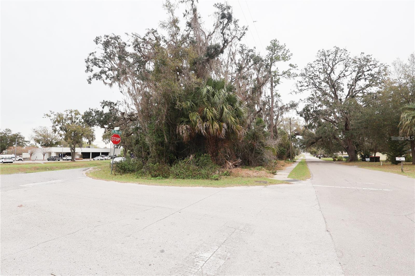ECKERDS PLAZA-BELLEVIEW - Commercial Sale