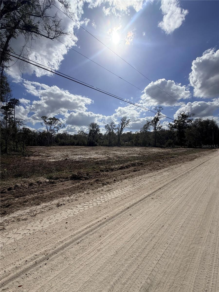 PINEY WOODS OF OLD TOWN - Land