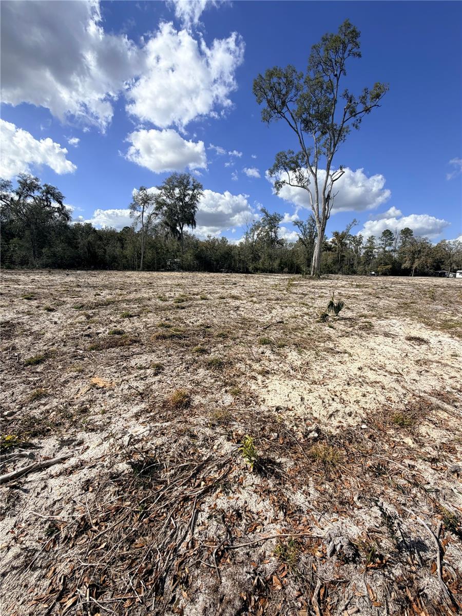 PINEY WOODS OF OLD TOWN - Land