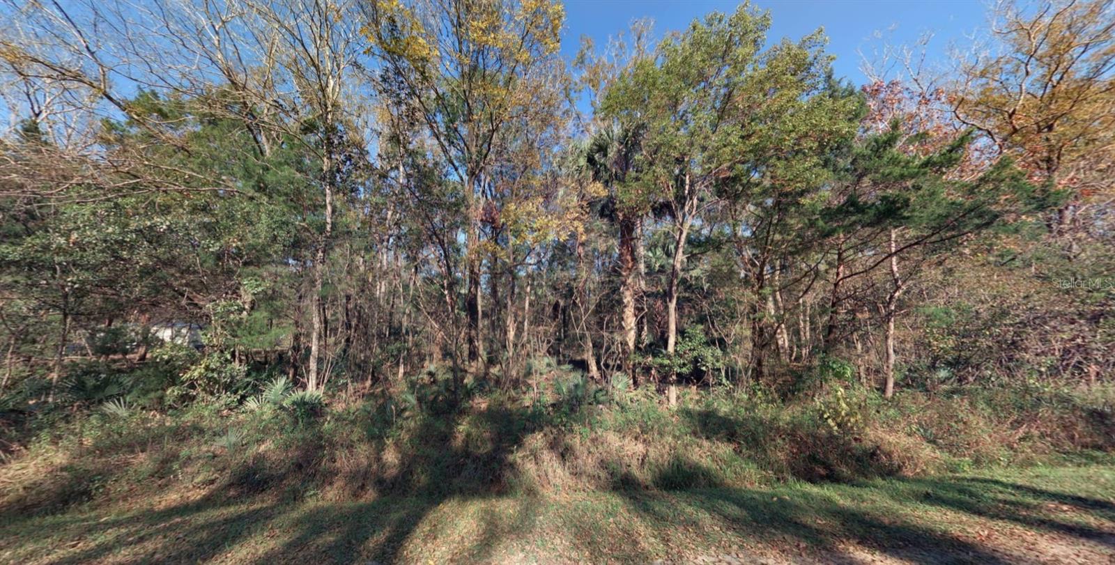 FLAGLER ESTATES UNPLATTED UNIT 3 - Land