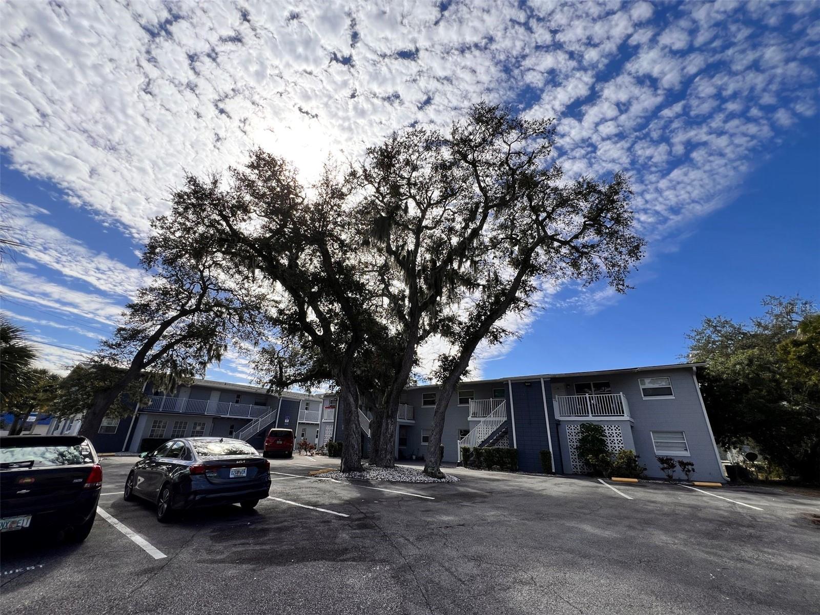 Discover comfortable and convenient living at Titusville Square Apartments, ideally located at 1710 S. Washington Ave, Unit 14, Titusville, FL 32780. This well-maintained community places you just minutes from shopping, dining, entertainment, and everyday conveniences. Plus, you'll see the beautiful River, where you can enjoy scenic walks, fishing, and Florida's natural beauty.
This spacious 2-bedroom apartment features a thoughtfully designed floor plan with plenty of room to relax and unwind. Enjoy an updated galley-style kitchen, central air conditioning and heating, and comfortable living spaces designed to fit your lifestyle.
At Titusville Square Apartments, resident comfort is a top priority. Community amenities include:
On-site laundry facilities
Professional on-call maintenance
Pet-friendly community
Convenient location near major roadways, shopping, and restaurants
Whether you're looking for a peaceful place to call home or easy access to everything Titusville has. Titusville Square Apartments provides the perfect combination of comfort, convenience, and value.