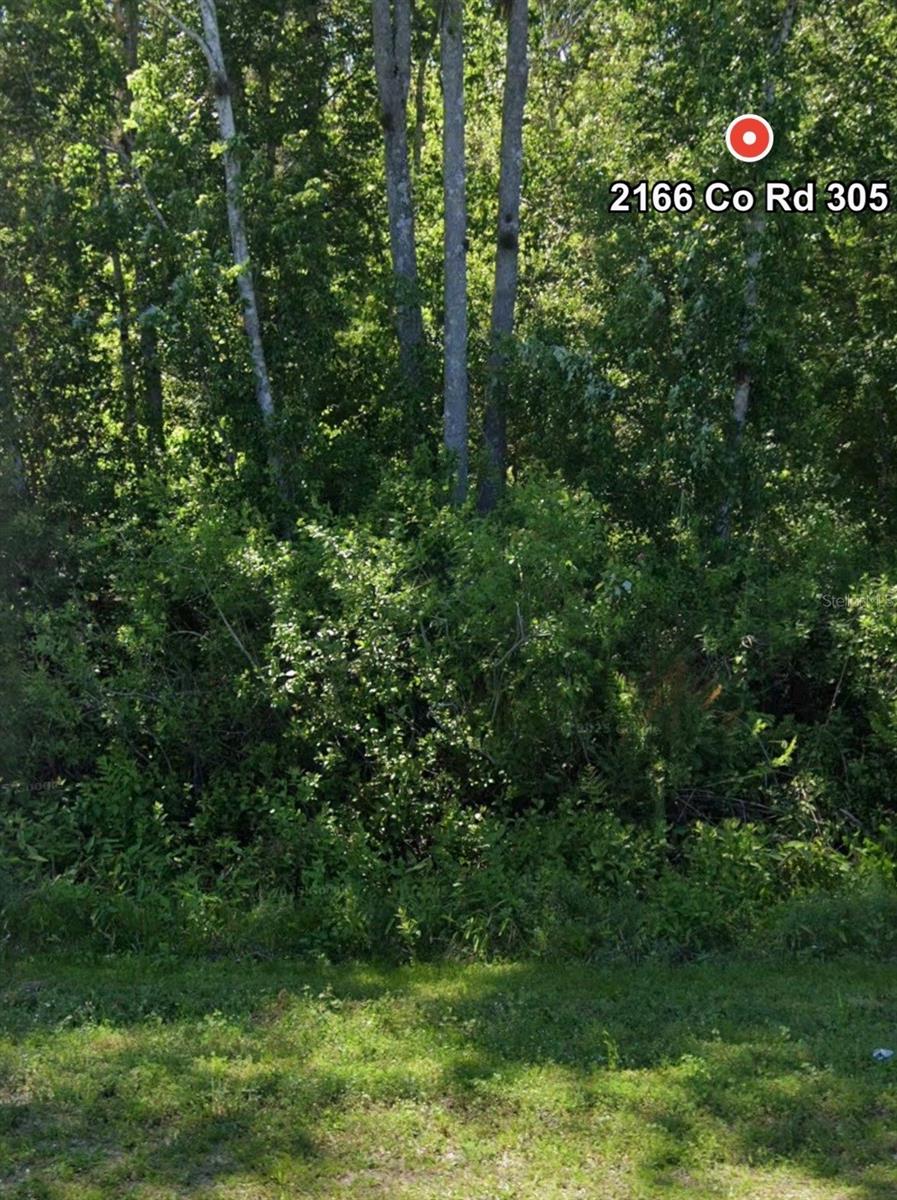 Half-Acre Country Living on Paved Road – Build or Bring Your Mobile Home!

Discover the perfect blend of privacy, freedom, and convenience with this ½-acre lot in Bunnell located directly on paved County Road 305. Whether you’re looking to build your dream home or place a manufactured home, this property offers flexible zoning and room to spread out.

Enjoy true country living with no HOA restrictions—bring your animals, boats, RVs, and all your outdoor toys! Surrounded by nature, you’ll love the peaceful setting with frequent sightings of deer and wild turkeys right in your backyard.

Outdoor enthusiasts will appreciate being just minutes from great fishing lakes and local parks, while still staying conveniently close to everything:
    •    Approx. 20 minutes to Flagler Beach 
    •    Approx. 20 minutes to St. Augustine 
    •    Approx. 20 minutes to Daytona Beach 
    •    Just over an hour to Orlando and world-famous attractions

The front portion of the lot is located in an X flood zone per FEMA maps (buyer to verify), offering added peace of mind.

Key Details:
    •    ½ Acre Lot
    •    Zoned for Site-Built or Manufactured Home
    •    Paved Road Access
    •    No HOA
    •    Well & Septic Needed
    •    Buyer to Perform Due Diligence on Buildability, Zoning, and Utilities

If you’re looking for affordable land with flexibility and a great location, this is it. Secure your slice of Florida country living today!