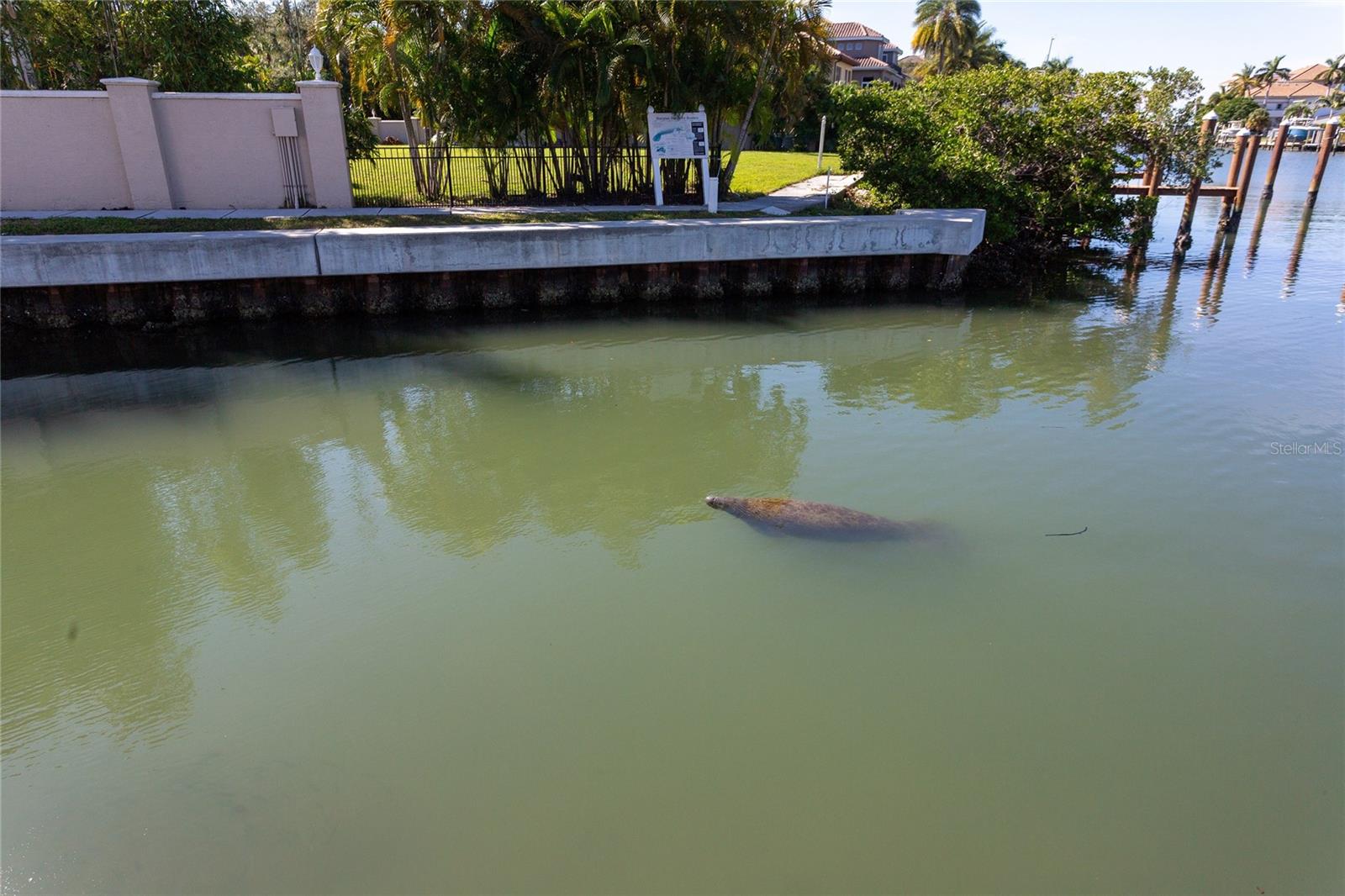 THE STRAND OF SARASOTA - Residential