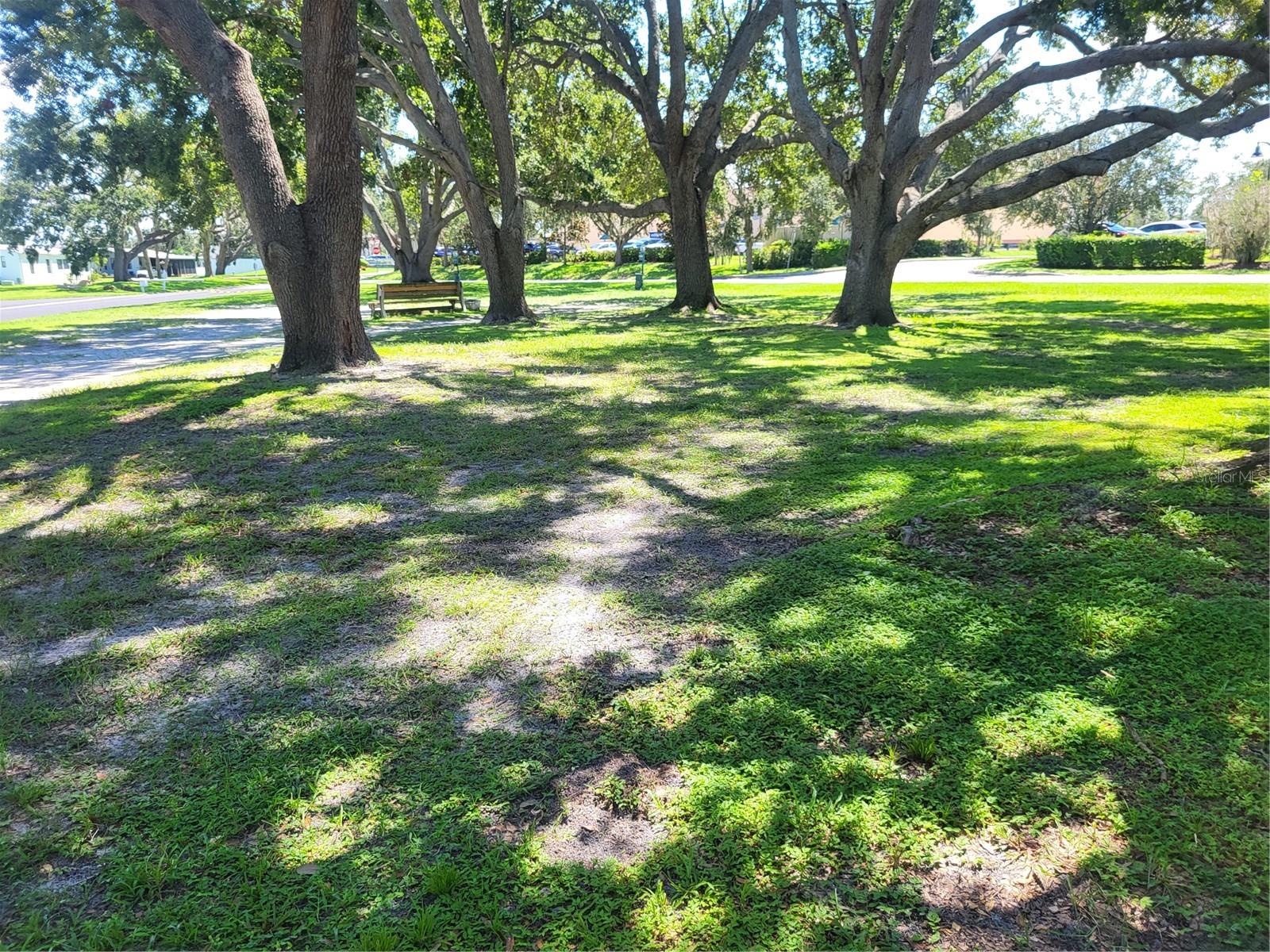 TERRA SIESTA MOBILE HOME PARK CO-OP - Residential