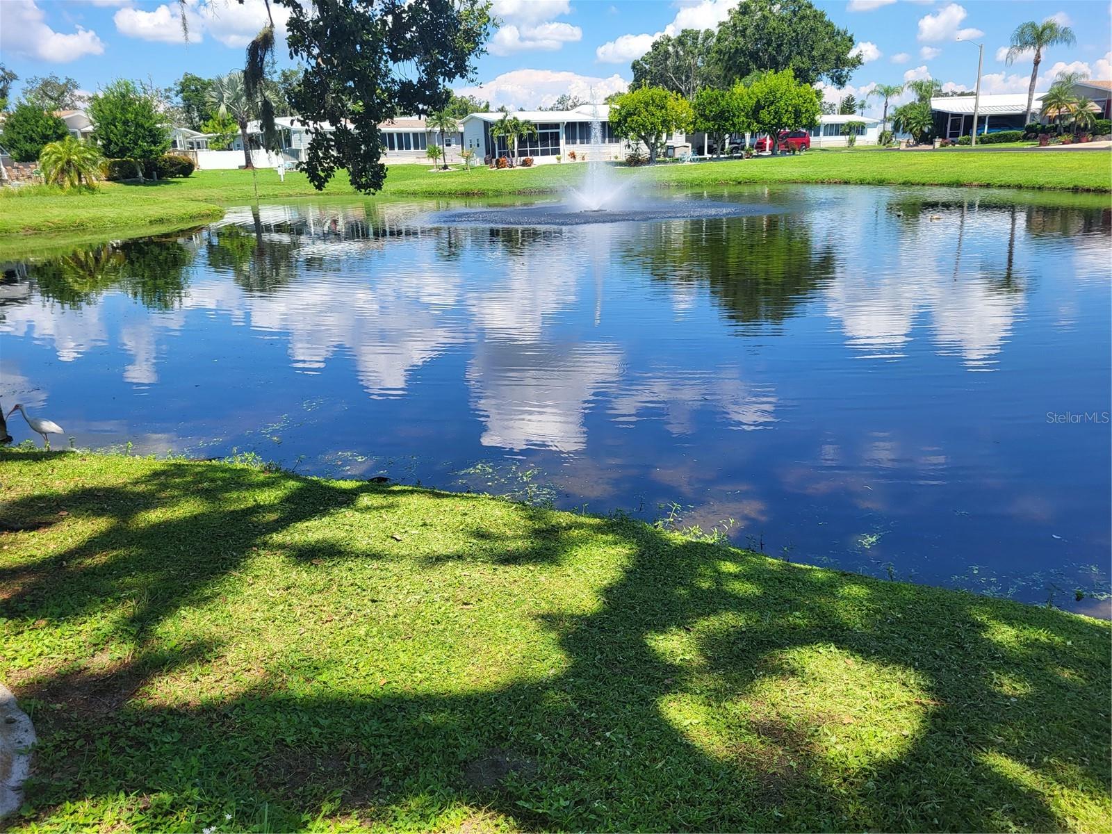 TERRA SIESTA MOBILE HOME PARK CO-OP - Residential