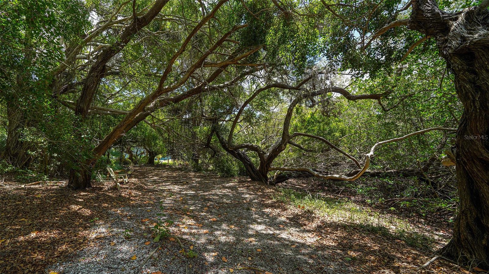 GULF BLVD - Residential