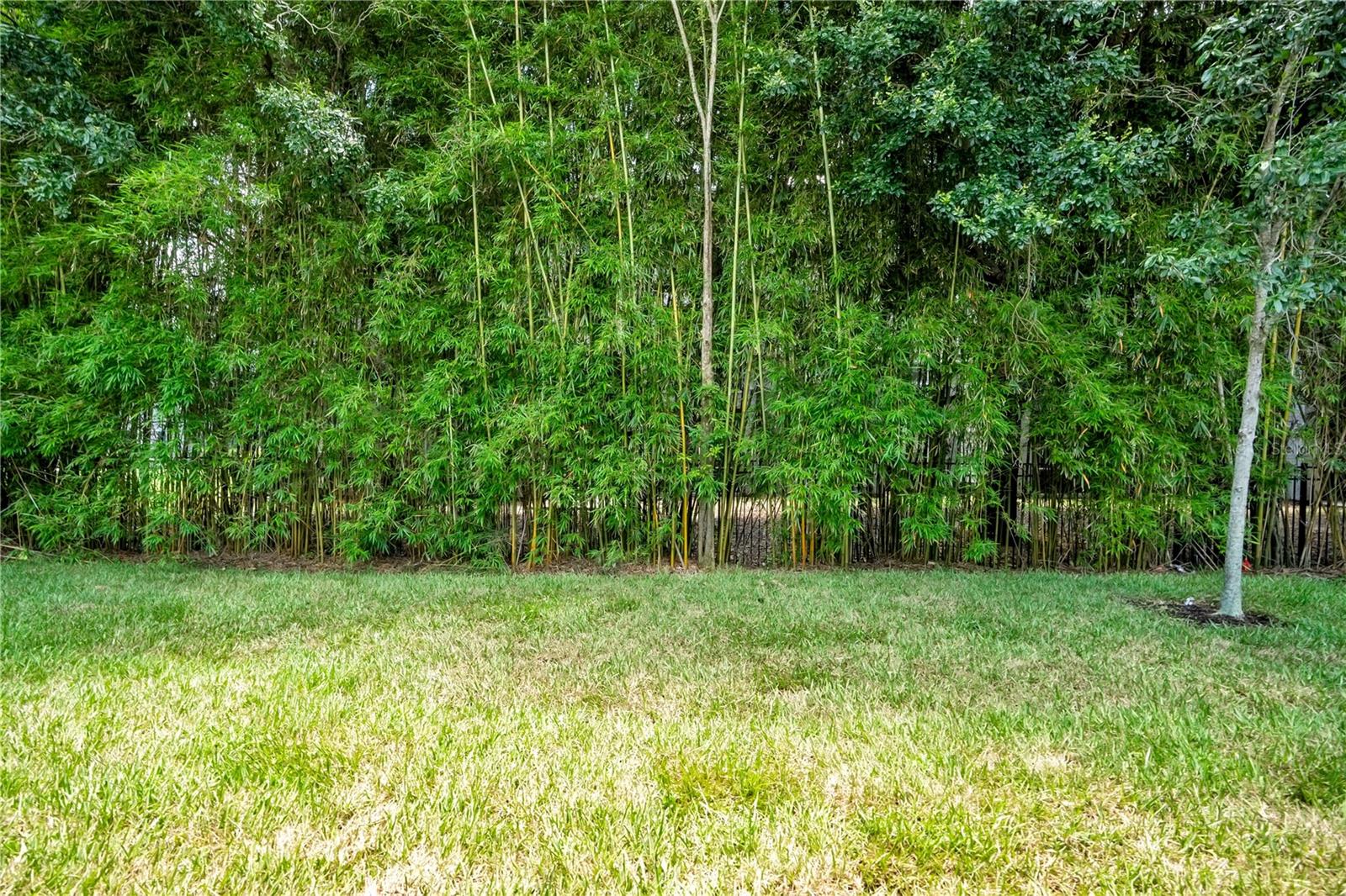 ROYAL CYPRESS PRESERVE PH 4 - Residential