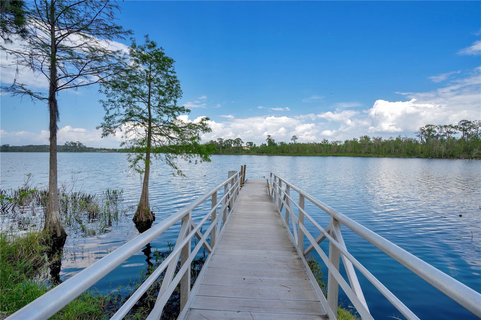 ROYAL CYPRESS PRESERVE PH 4 - Residential